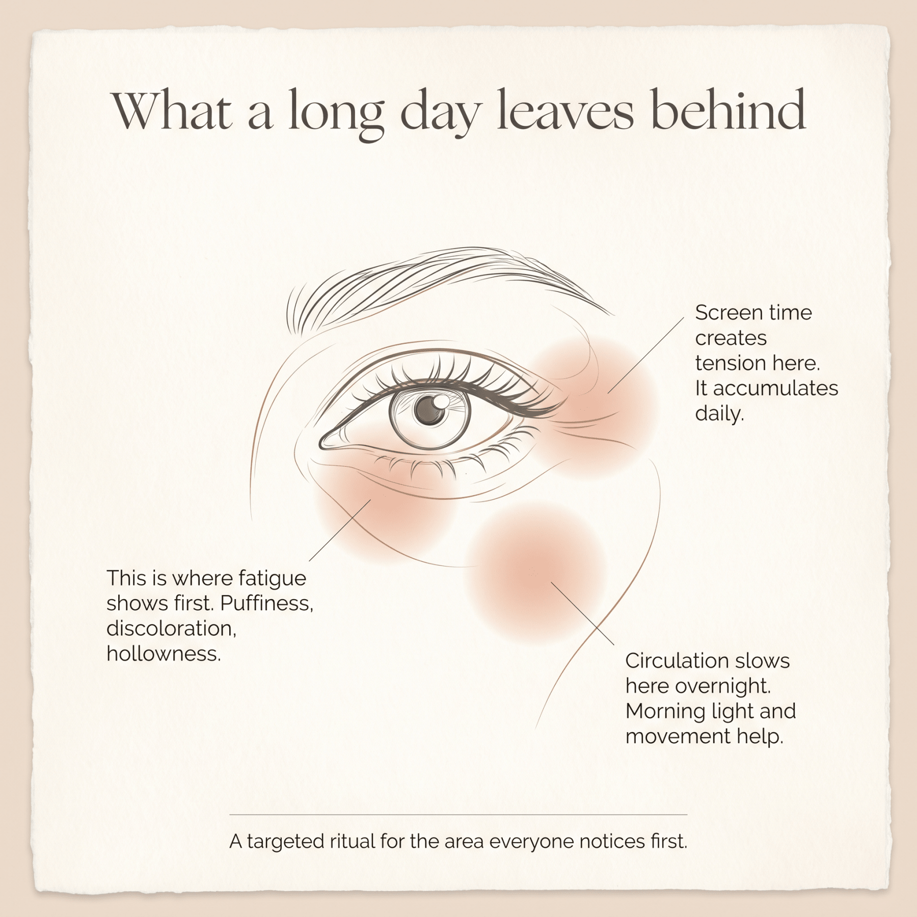 Illustration of eye area with text explaining eye fatigue and the effects of screen time.